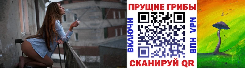 МЕГА tor Воткинск Псилоцибиновые грибы MAGIC MUSHROOMS купить наркотики цена